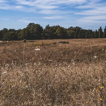Appartamento Masseria Del Bosco - Podere Palazzone *