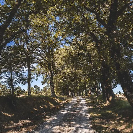 Appartamento Masseria Del Bosco - Podere Palazzone