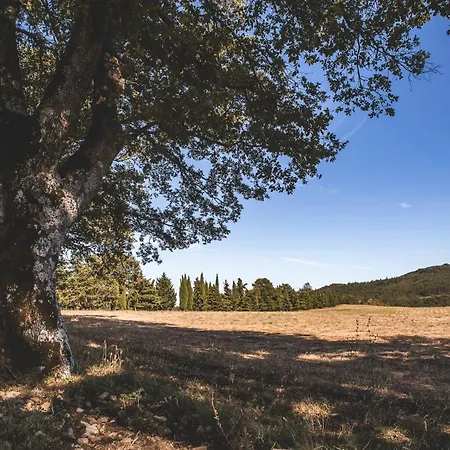 Apartment Masseria Del Bosco - Podere Palazzone