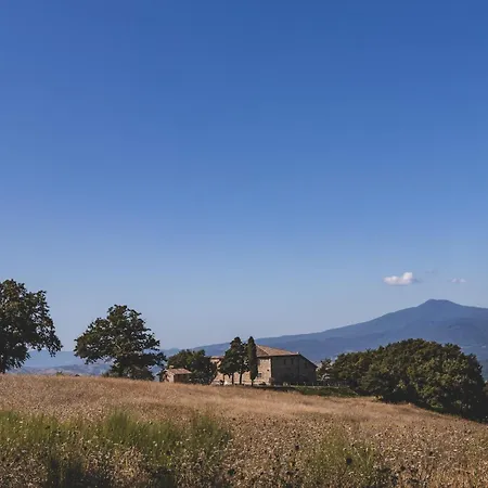 Masseria Del Bosco - Podere Palazzone Appartamento