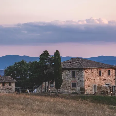 Masseria Del Bosco - Podere Palazzone