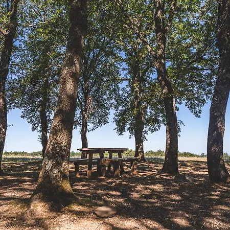 Masseria Del Bosco - Podere Palazzone Appartamento *