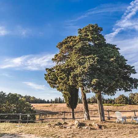 Appartamento Masseria Del Bosco - Podere Palazzone Chianciano Terme