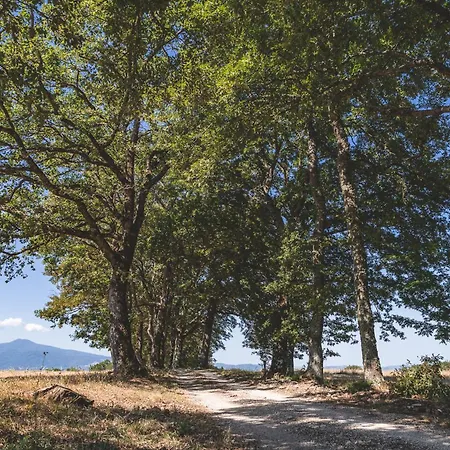 Appartamento Masseria Del Bosco - Podere Palazzone