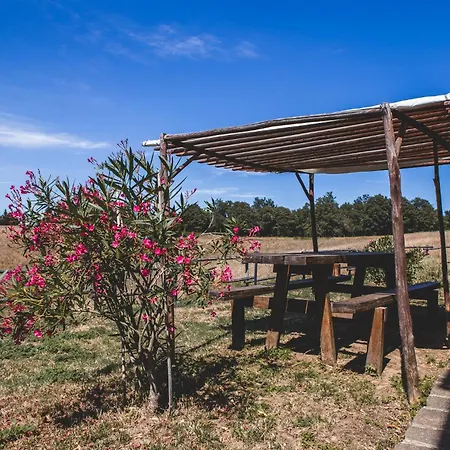 Masseria Del Bosco - Podere Palazzone