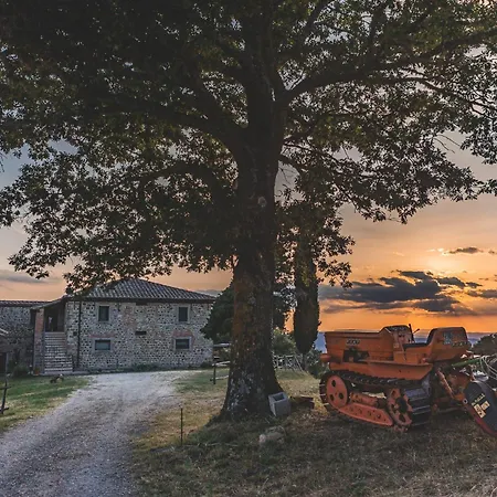 Appartamento Masseria Del Bosco - Podere Palazzone Chianciano Terme