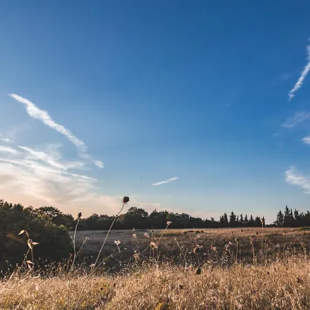 Appartamento Masseria Del Bosco - Podere Palazzone