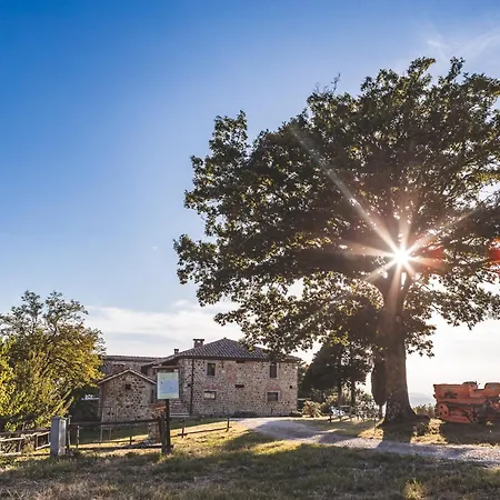 Masseria Del Bosco - Podere Palazzone *