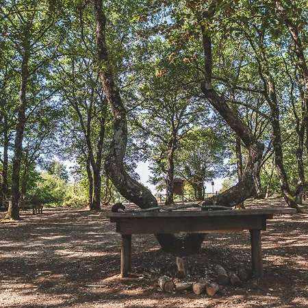 Masseria Del Bosco - Podere Palazzone Appartamento Chianciano Terme