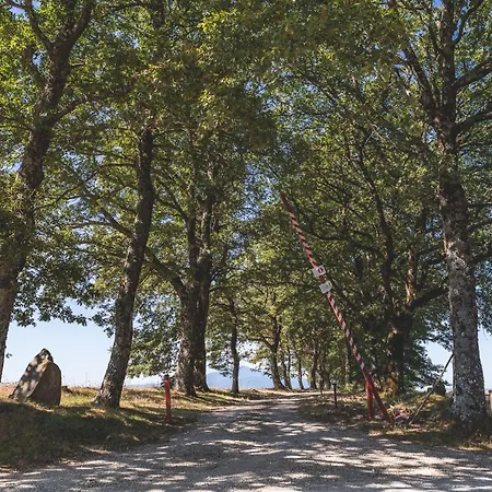 Appartamento Masseria Del Bosco - Podere Palazzone