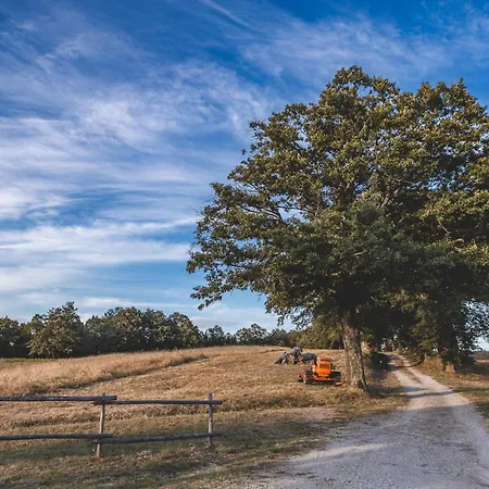 Appartamento Masseria Del Bosco - Podere Palazzone *