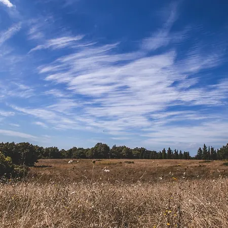 Masseria Del Bosco - Podere Palazzone