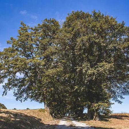 Masseria Del Bosco - Podere Palazzone Appartamento *