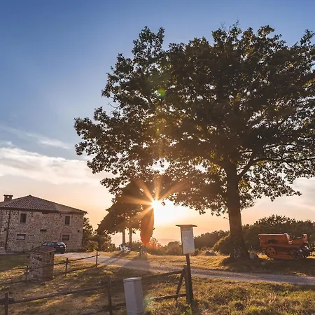 Appartamento Masseria Del Bosco - Podere Palazzone *
